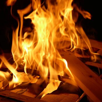 neurosurgeon burnt alive