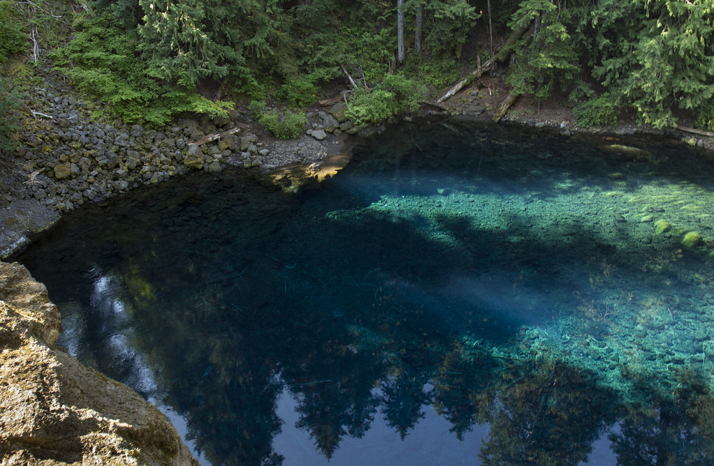Reflecting Pool case